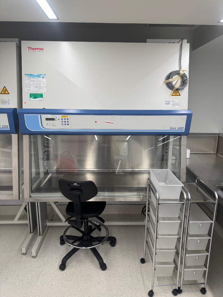 Image of Thermo Safe 2020 5' BioSafety Cabinet